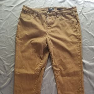 Curve Appeal Jeggings